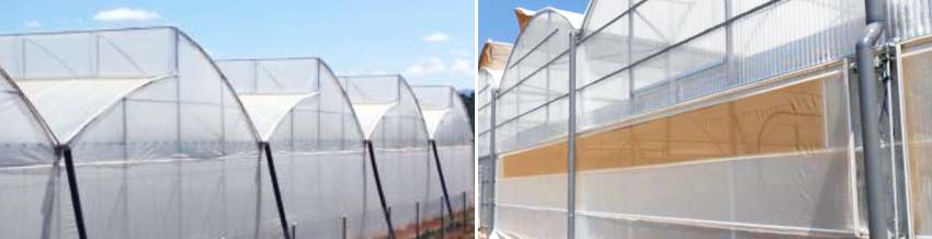Insect Mesh - Shade - Covers - Netting for Greenhouses - Sale