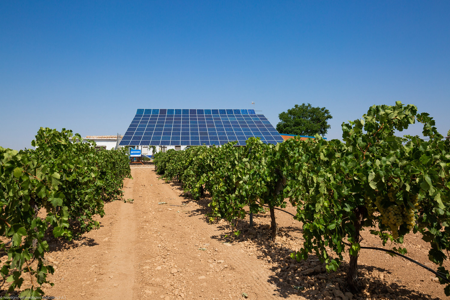 Novagric instaló un sistema de riego solar en viñedos de Ciudad Real, reduciendo costes y huella de carbono, con eficiencia hídrica mejorada.
