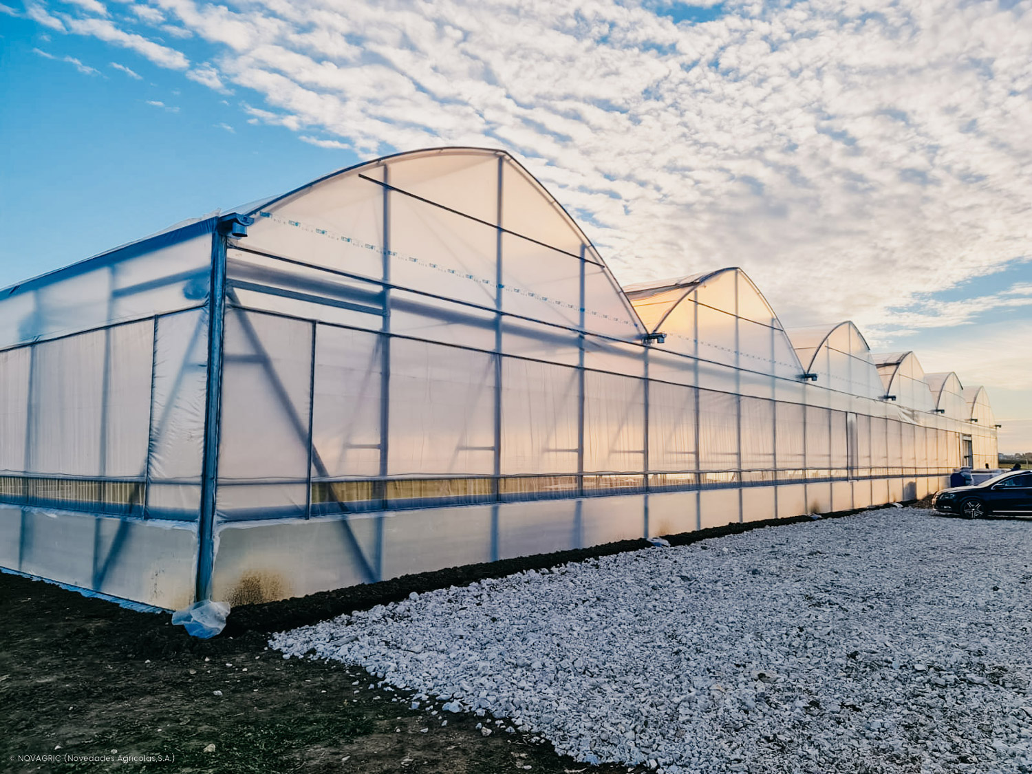 Novagric implementó un proyecto de invernadero para el cultivo de tomate en los Balcanes, enfocado en fomentar el emprendimiento agrícola, mejorar la gestión del agua, y aumentar la productividad y comercialización en zonas rurales.