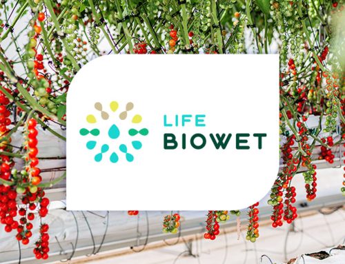 LIFE BIOWET. Reutilización segura del 90% del agua en invernaderos hidropónicos