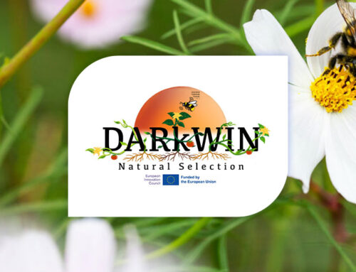 DARkWIN. Project to improve crops in the face of climate change