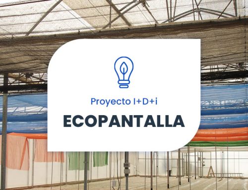 ECOPANTALLA. Solar screen for greenhouses