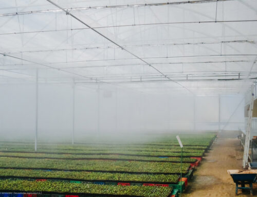 Control de la Humedad Relativa en los cultivos en Invernadero