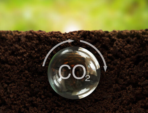 Cómo controlar el clima durante la Fertilización Carbónica