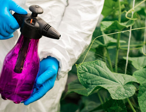 Cómo utilizar fitosanitarios de manera sostenible en agricultura