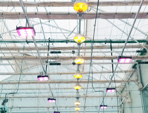 Control de la Luz Artificial para plantas bajo Invernadero