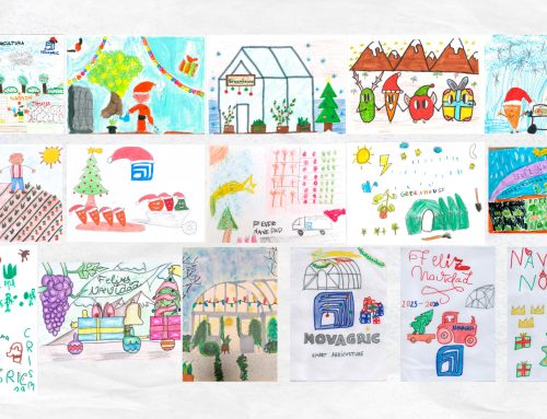 This Christmas, agriculture takes shape at Novagric